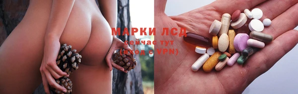 прущие грибы Дмитровск