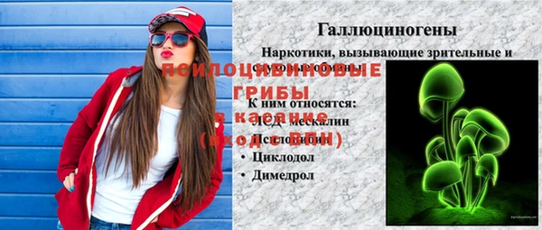 крисы Гусев
